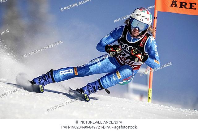 04 February 2019, Sweden, Are: Alpine skiing, World Cup, training, downhill, ladies. Marta Bassino from Italy in action on the racetrack