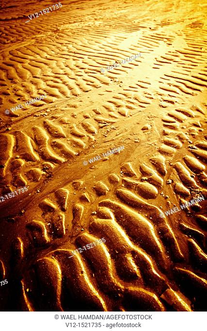 Ripples in sea sand on beach formed by the wind