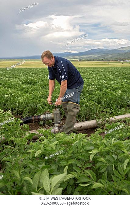 Driggs, Idaho - Wyatt Penfold adjusts irrigation equipment on his farm, where he grows seed potatoes
