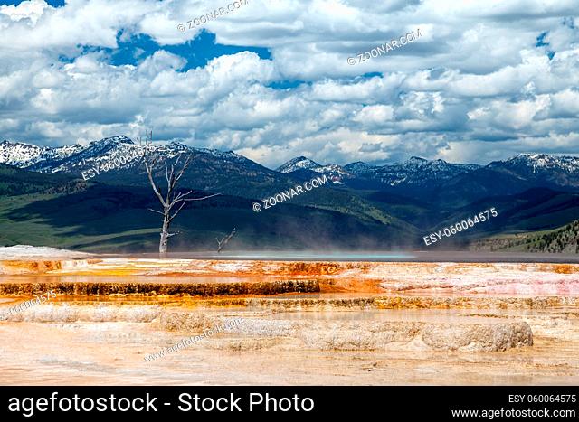 Mammoth hot springs in Yellowstone National Park, USA