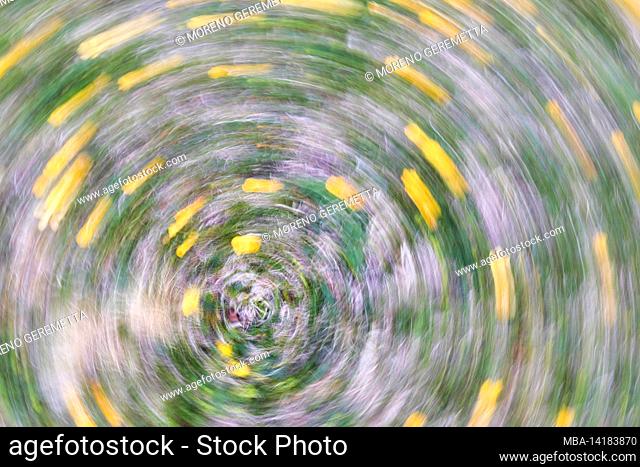 Abstract image, spring flowery meadow, blurred photography