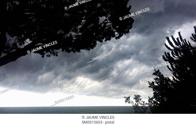 Silhouettes of trees and storm clouds. Caldes d'Estrac. Maresme, Barcelona province, Catalonia, Spain