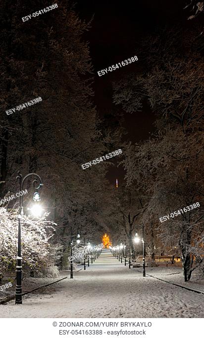 Beautiful night winter Ivan Franko park walkway in the center of Lviv city (Ukraine), and illuminated Vysokyj Zamok (High Castle) TV tower in far
