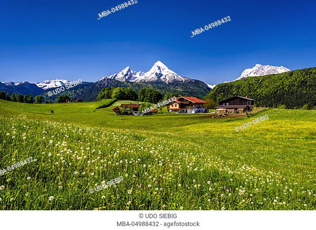 Germany, Bavaria, Upper Bavaria, Berchtesgadener Land (district), Bischofswiesen (bishop's meadows), view to Steinernes Meer (karst plateau)