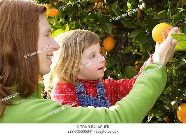mother showing daughter orange tree harvest