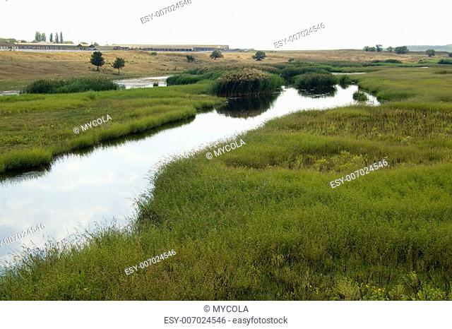 the small steppe river is in the jungles of grass