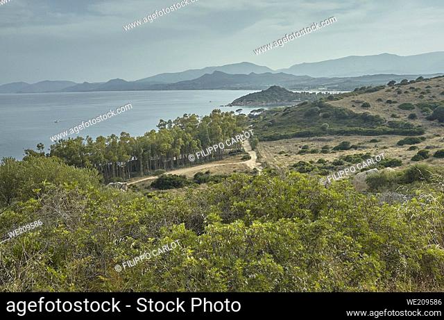 Typical landscape of the southern coast of Sardinia with its vegetation of shrubs, hills, and the sea that meets in a breathtaking view