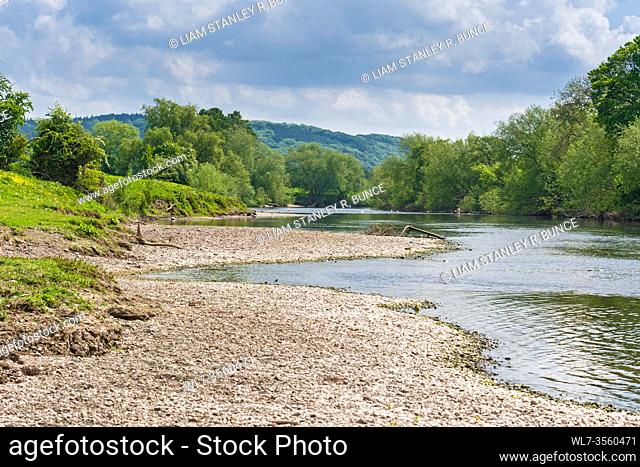 The river Wye at Hampton Bishop Hereford herefordshire UK. May 2020
