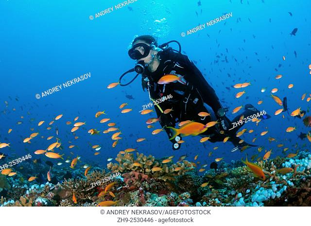 Young woman diver swimming over the coral reef and looking at a flock of brightly colored fish, Indian Ocean, Maldives