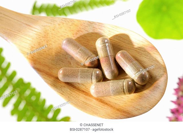FOOD SUPPLEMENT Capsules of chondroitin and glucosamine without colorant