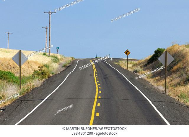 Rural Road in summer  Palouse, Whitman County, Washington State, USA, America