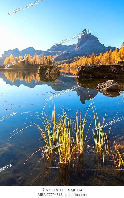 Federa lake in autumn with yellow larches around it, Croda da Lago, Cortina d Ampezzo, Belluno, Dolomites, Veneto, Italy