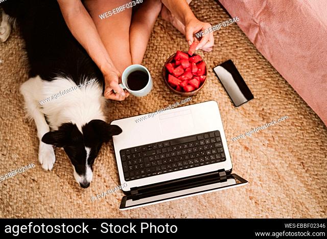 Woman having breakfast while sitting by laptop and pet on carpet at home