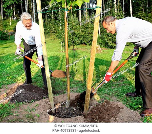 Bundespräsident Joachim Gauck (l) und der estnische Präsident Toomas Hendrik Ilves pflanzen am 08.07.2013 auf dessen Sommersitz in Estland eine Linde