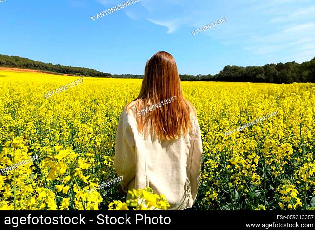 Back view portrait of a woman walking through a field of yellow flowers