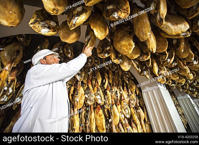 A specialist employee checks humidity and texture of serrano hams at 5J factory