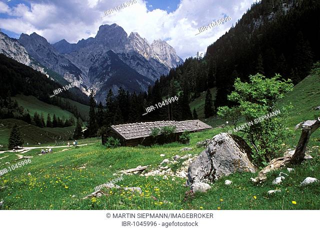 Bindalm alpine pasture, Berchtesgaden National Park, Berchtesgardener Alps, Upper Bavaria, Germany, Europe