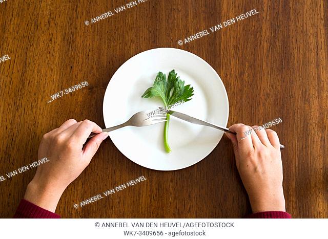 diet concept. one green vegetable on an empty white plate with woman hands celery on wood table healthy top view