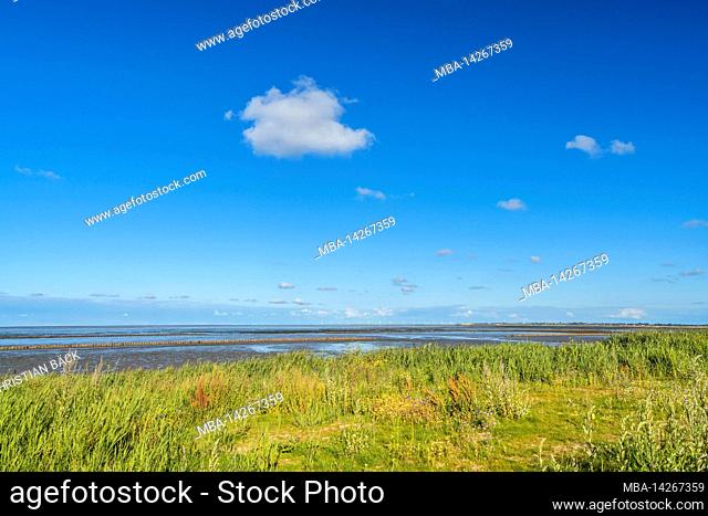 View of the Keitum mudflats, Keitum, Sylt Island, Schleswig-Holstein, Germany