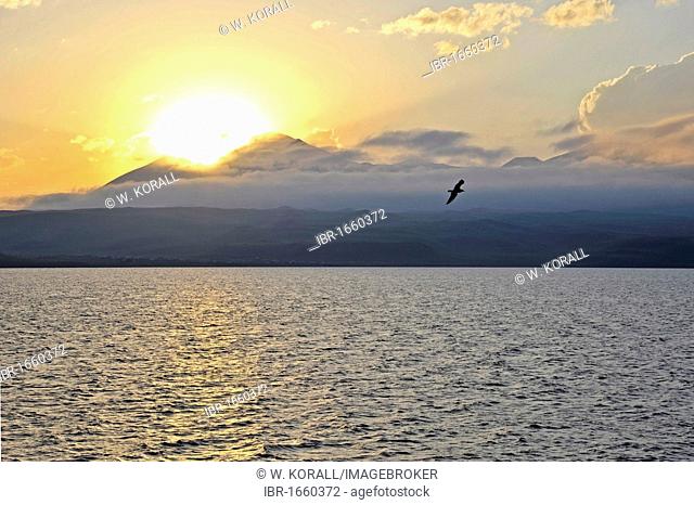 Evening sun over Lake Paravani, Way of St. Nino, Kvemo Kartli region, Georgia, Western Asia