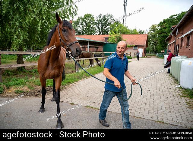 16 July 2020, Brandenburg, Hoppegarten: Roland Dzubasz, trainer for race horses, presents the race horse ""Drux the King"" at the racecourse Hoppegarten before...