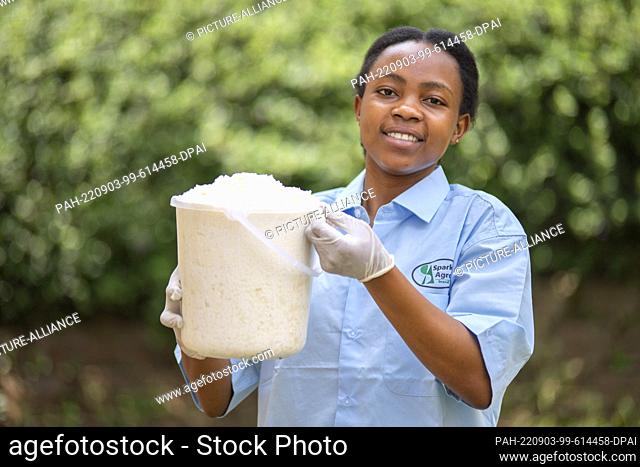 PRODUCTION - 22 August 2022, Uganda, Kitende: Jovia Kisaakye, one of the founders of Sparkle Agro Brands, holds a bucket of fermented sour milk