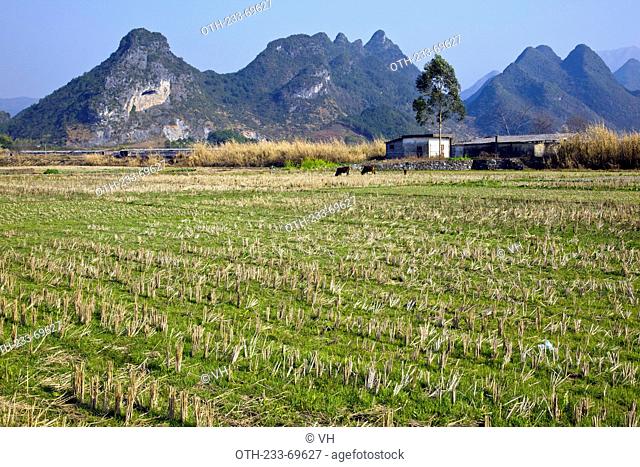 Stone peaks and meadow at Qigong town, Yanshan County, Guangdong, China