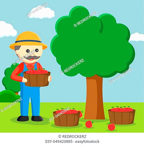 fat farmer harvesting apple tree