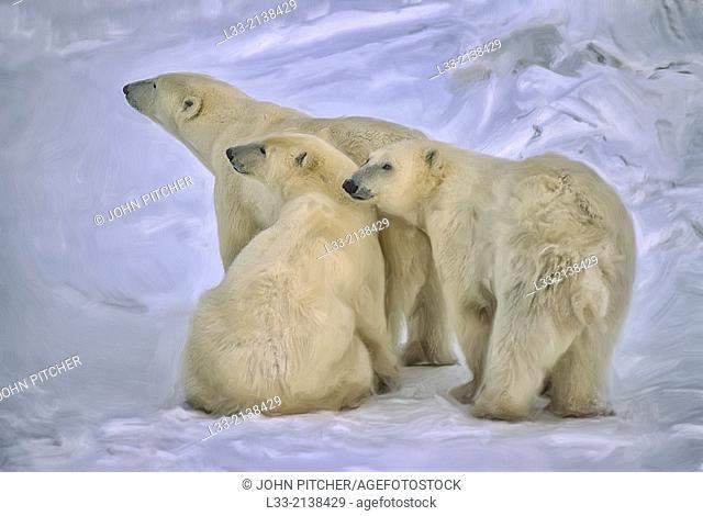 Polar bear with her yearling cubs