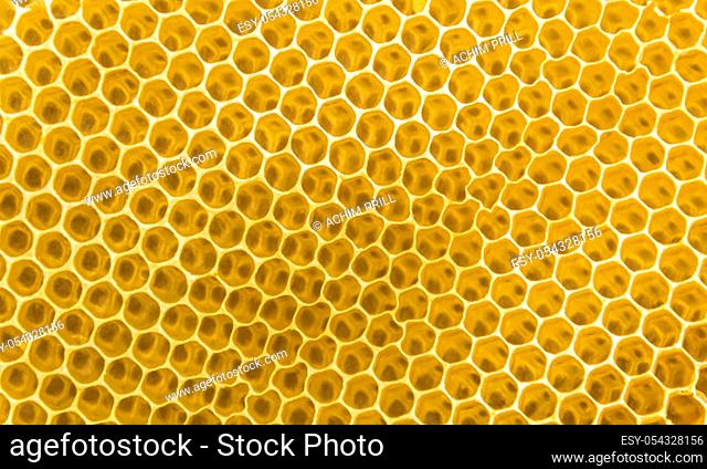 full frame yellow honeycombs background