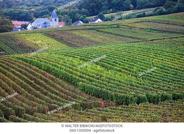 France, Marne, Champagne Ardenne, Chigny-les-Roses, vineyard, autumn