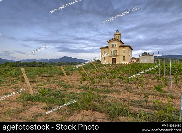 Torre LluviÃ  de Manresa, surrounded by vineyards of the DO Pla de Bages, in a summer sunrise (Barcelona province, Catalonia, Spain)