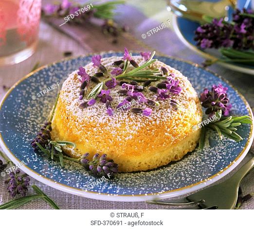 Small cake sprinkled with lavender and icing sugar