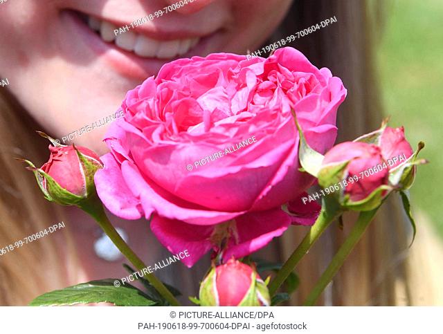 ATTENTION: EMBARGOED FOR PUBLICATION UNTIL 18 JUNE 19:00 GMT! - 18 June 2019, Baden-Wuerttemberg, Baden-Baden: A visitor looks at a noble rose called Anuschka...
