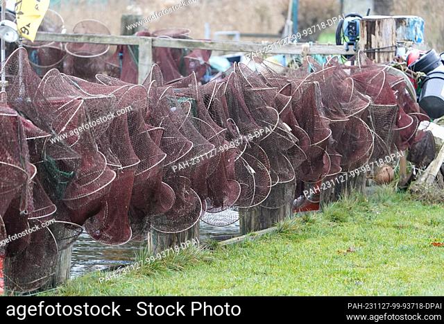 27 November 2023, Schleswig-Holstein, Lübeck: Fish traps dry in the harbor of the small fishing village of Gothmund on the Trave