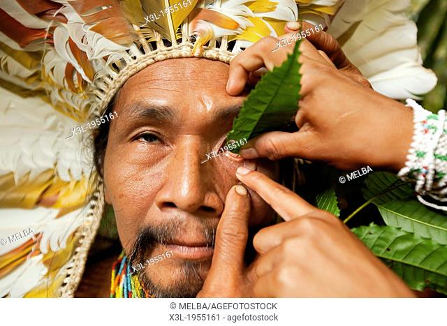 Shaman applying natural, sanango, eye-drops into his eye. Alto Jurua. Croa, Brazil