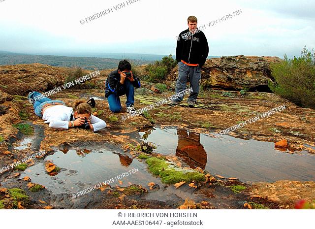 Pupils photographing rock pool, lichen and flowers in Namaqualand after rain