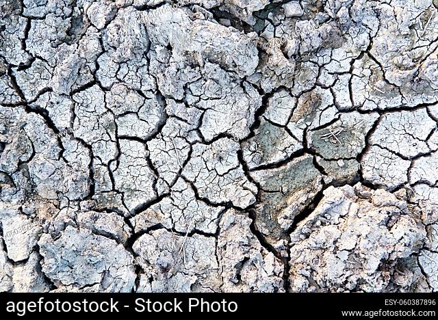 Closeup of dry soil. Cracked texture of ground. Ground in drought, Soil texture and dry mud, Dry land. top view