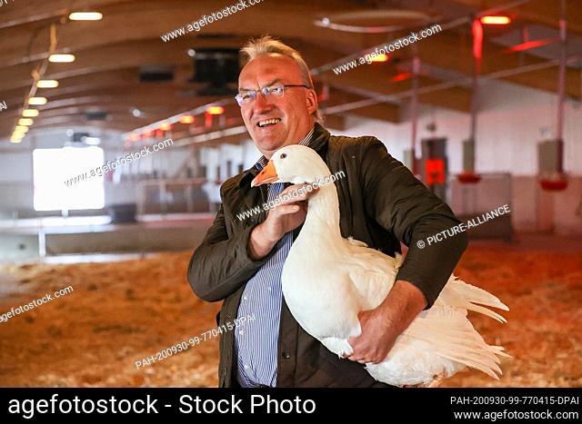 30 September 2020, Saxony, Wermsdorf: Lorenz Eskildsen, owner of the goose farm Eskildsen, is standing with a goose in one of the three new stables