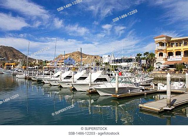Boats at a marina, Cabo San Lucas, Baja California, Mexico
