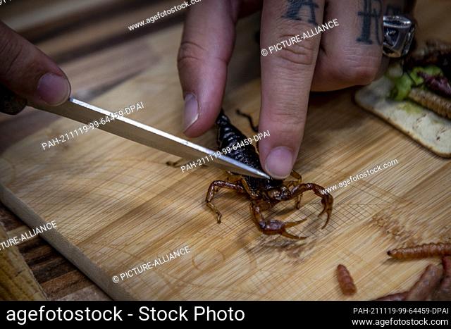 18 November 2021, Mexico, Mexiko-Stadt: A man cuts a scorpion on a wooden board in a Mexican market. In Mexican cuisine insects come very often