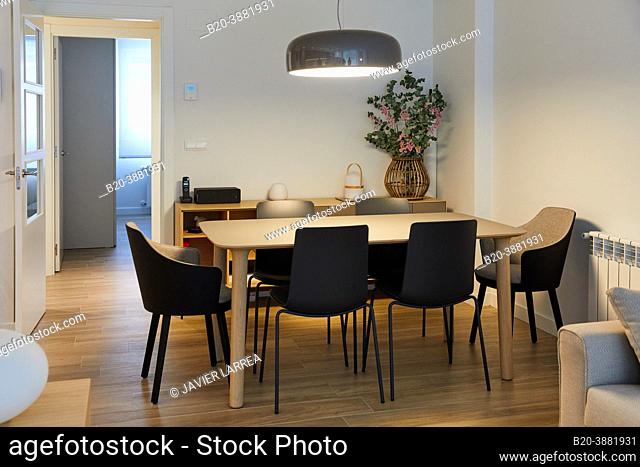 Dining area, Table, chairs, lamp, Living room, Home interior, Interior decoration, Zumarraga, Gipuzkoa, Basque Country, Spain, Europe