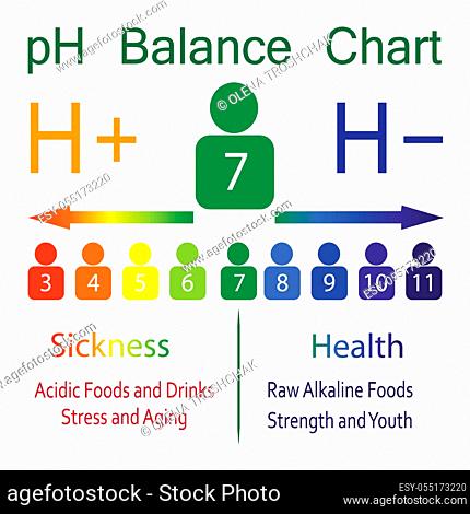 The PH balance scale chart in a human body vector illustration infographics