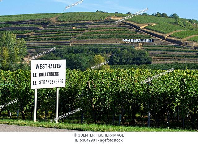 Entrance sign of Westhalten with references to the vineyards of Le Bollenberg and Le Strangenberg in front of the Alsace Grand Cru vineyard of Clos St