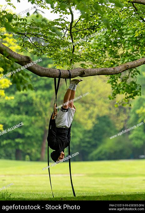 19 May 2021, Bavaria, Munich: Calisthenics trainer Alexander Wujkov hangs with his gymnastic rings from a long tree branch in the English Garden