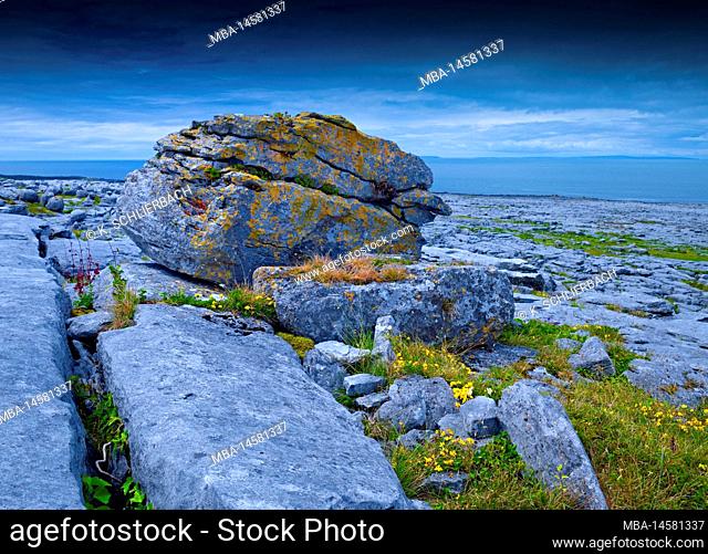 Europe, Western Europe, Ireland, Republic of Ireland, County Clare, Burren karst area, national park, Atlantic coast karst rock, boulders