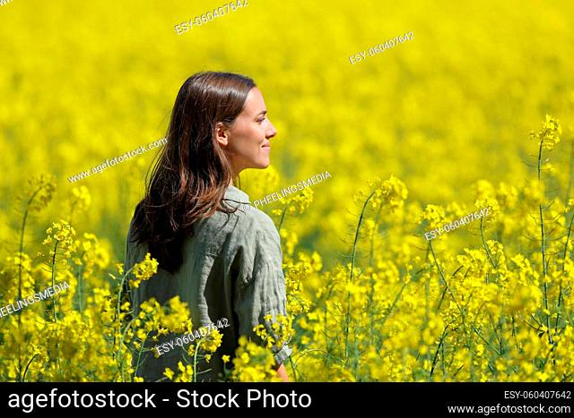 Happy woman contemplating views in a yellow field a sunny day