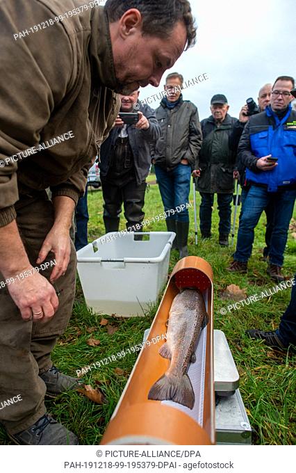 18 December 2019, Saxony-Anhalt, Nutha: Steffen Zahn, project manager of the Migratory Fish Programme Saxony-Anhalt at the Institute for Inland Fisheries in...