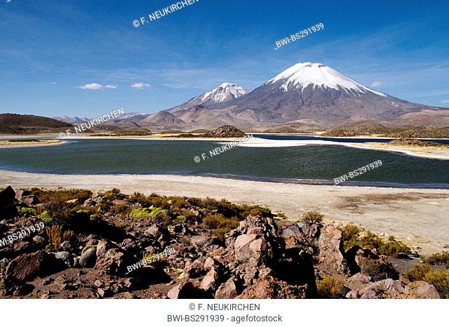 Cotacotani Lake and Pomerape and Parinacota volcanoes, Chile, Andes, Lauca National Park