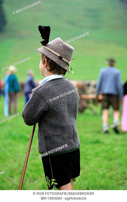 Boy wearing traditional costume during Viehscheid, separating the cattle after their return from the Alps, Thalkirchdorf, Oberstaufen, Bavaria, Germany, Europe
